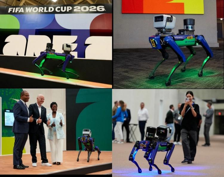 武磊：王钰栋未来一定要去欧洲 国外比赛后节奏和自信心完全不同