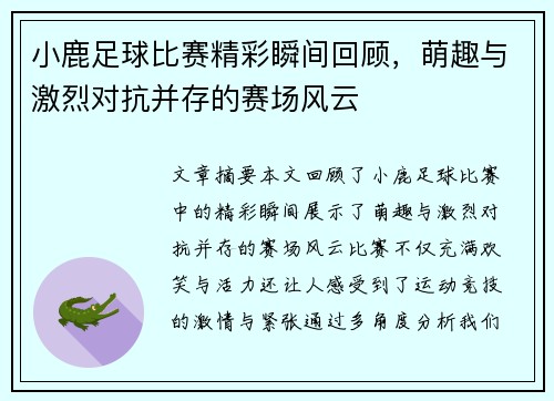 小鹿足球比赛精彩瞬间回顾，萌趣与激烈对抗并存的赛场风云