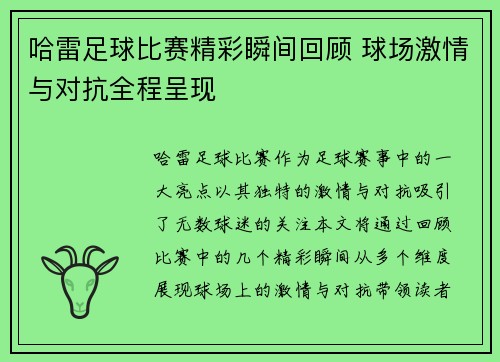 哈雷足球比赛精彩瞬间回顾 球场激情与对抗全程呈现