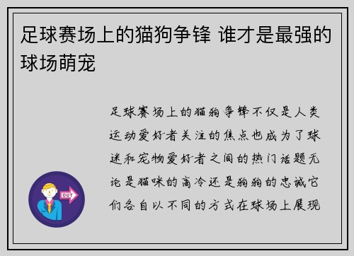 足球赛场上的猫狗争锋 谁才是最强的球场萌宠