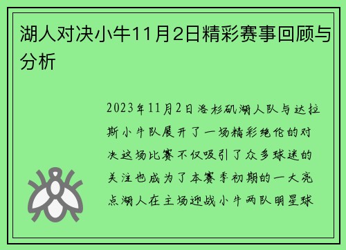 湖人对决小牛11月2日精彩赛事回顾与分析