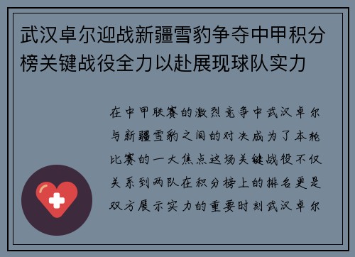 武汉卓尔迎战新疆雪豹争夺中甲积分榜关键战役全力以赴展现球队实力